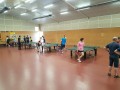 TG-sctt-2019-001